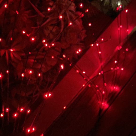 Pottery Barn LED Lit Firework Cascade Branch in Bright Red with Timer - Picture 10 of 17